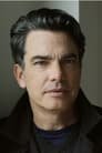 Peter Gallagher isHank Mitchell